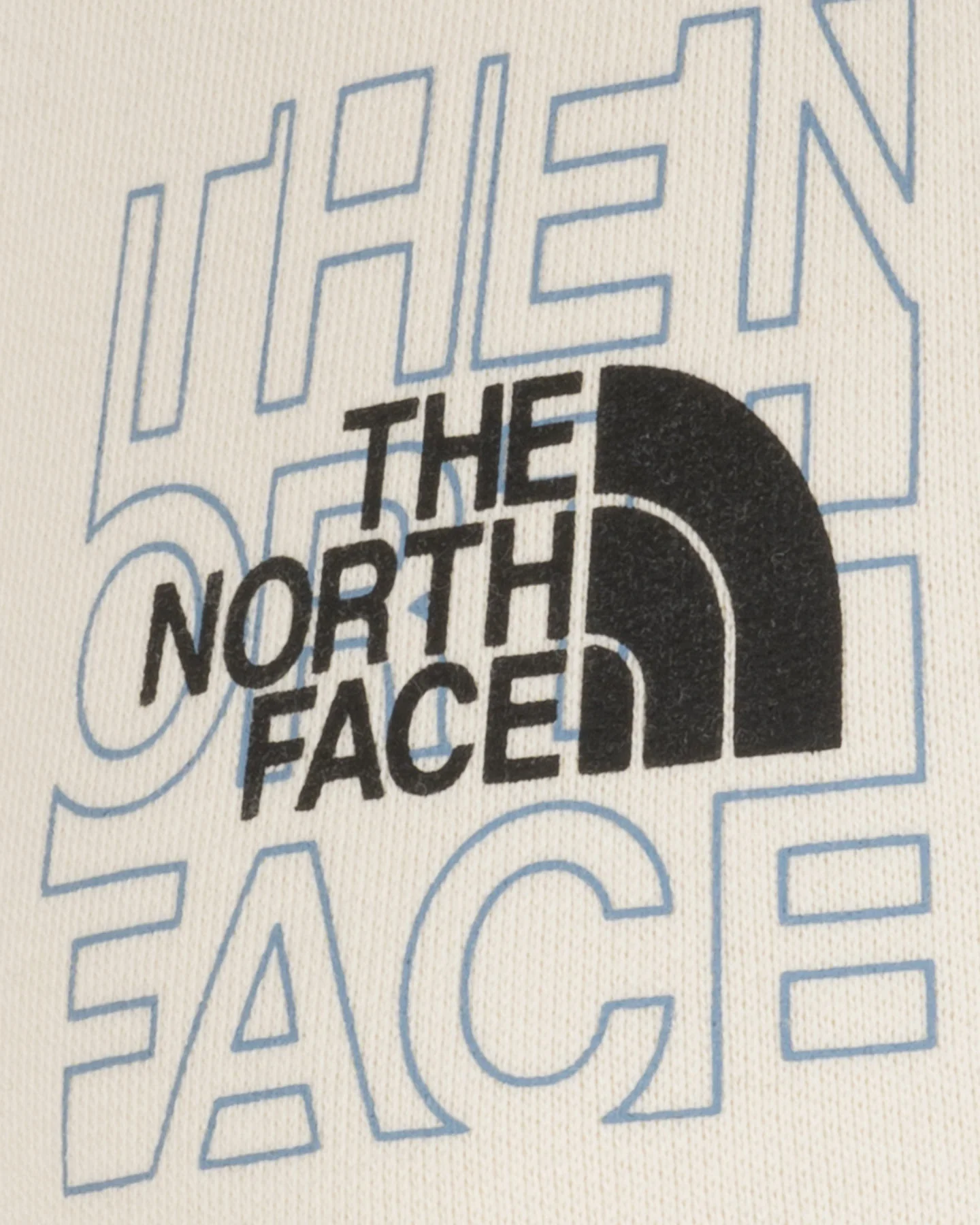 FELPA THE NORTH FACE LOGO W - Image 6