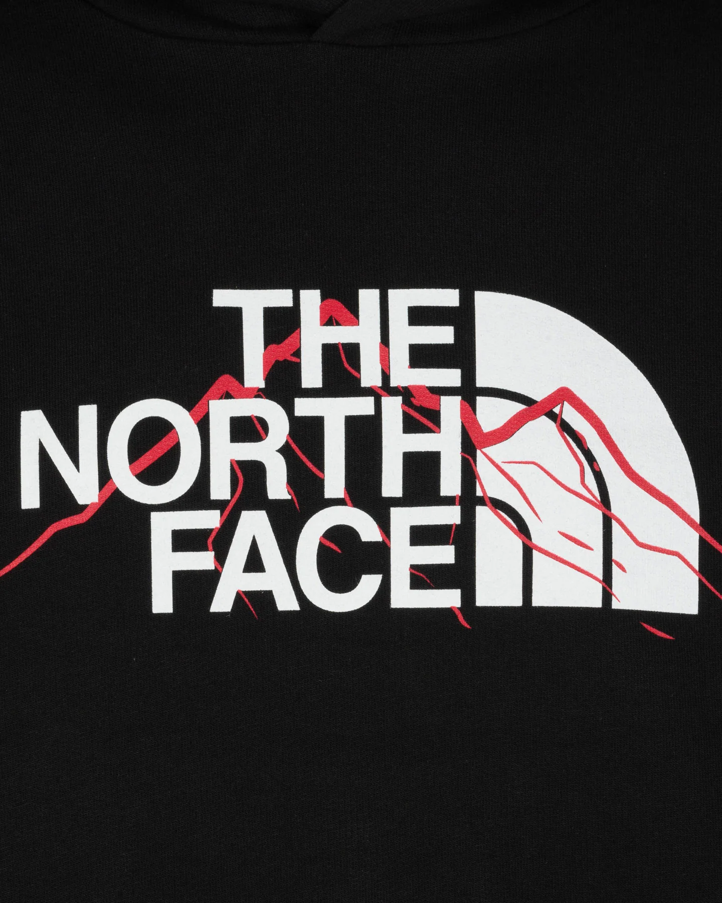 FELPA THE NORTH FACE MOUNTAIN LINE M - Image 3