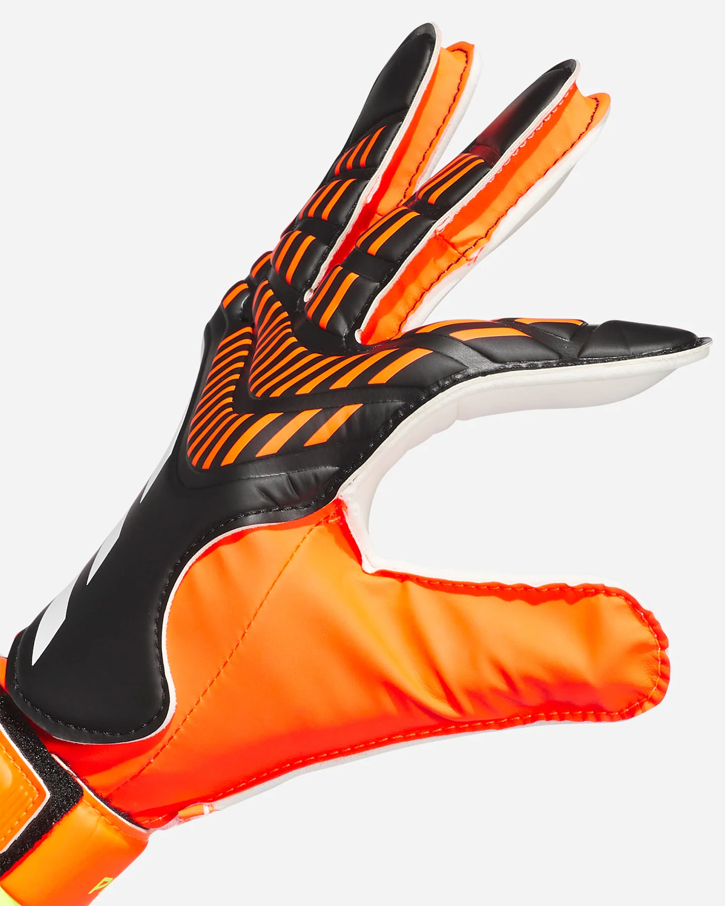GUANTI PORTIERE ADIDAS PREDATOR GL TRAINING M - Image 5