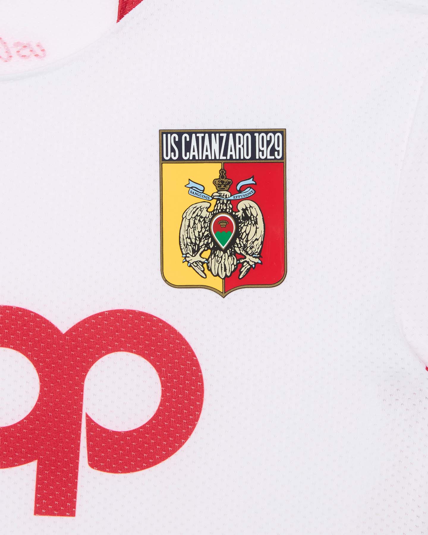 MAGLIA CALCIO UFFICIALE EYE CATANZARO AWAY 25-26 JR - Image 3