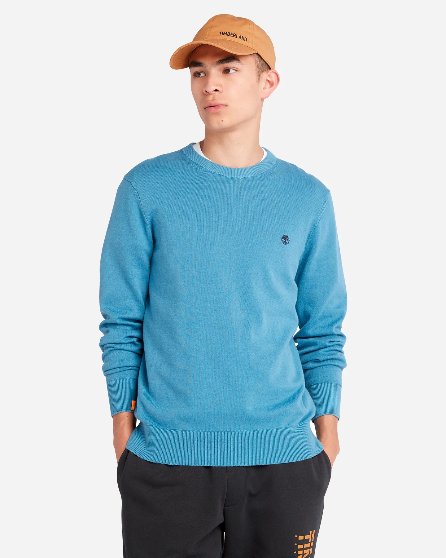 MAGLIONE TIMBERLAND SMALL LOGO M - Image 49