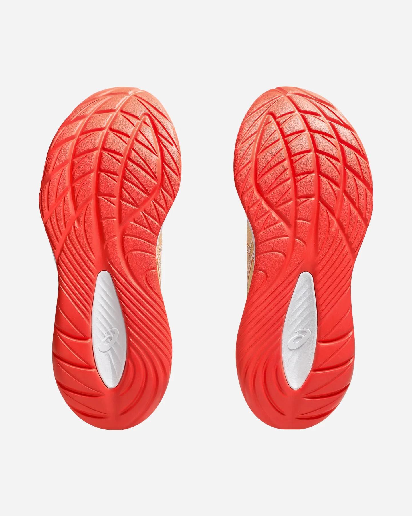 SCARPE RUNNING ASICS GEL-CUMULUS 27 W - Image 9