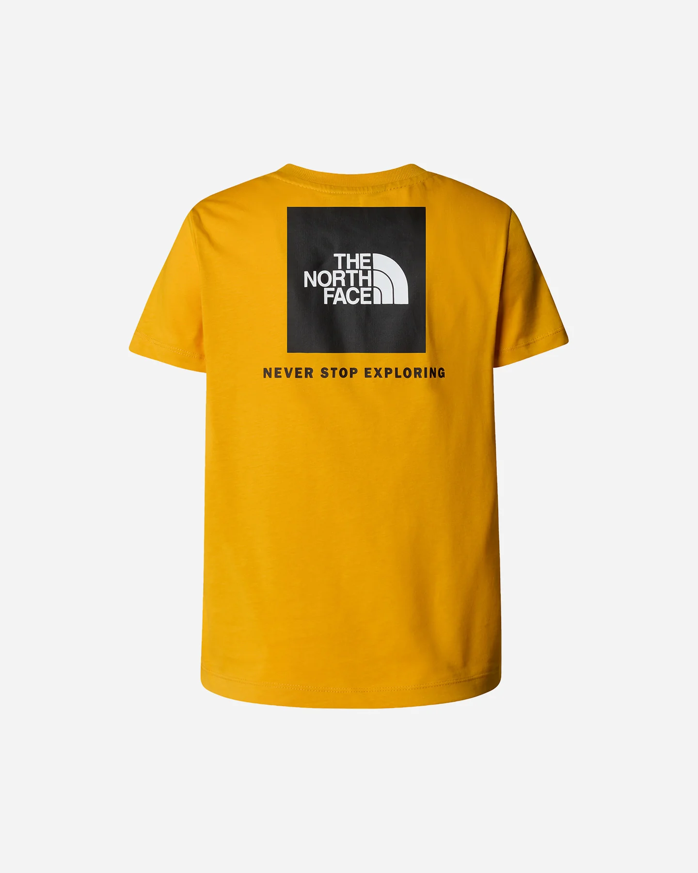 T SHIRT THE NORTH FACE LOGO BOX JR - Image 2