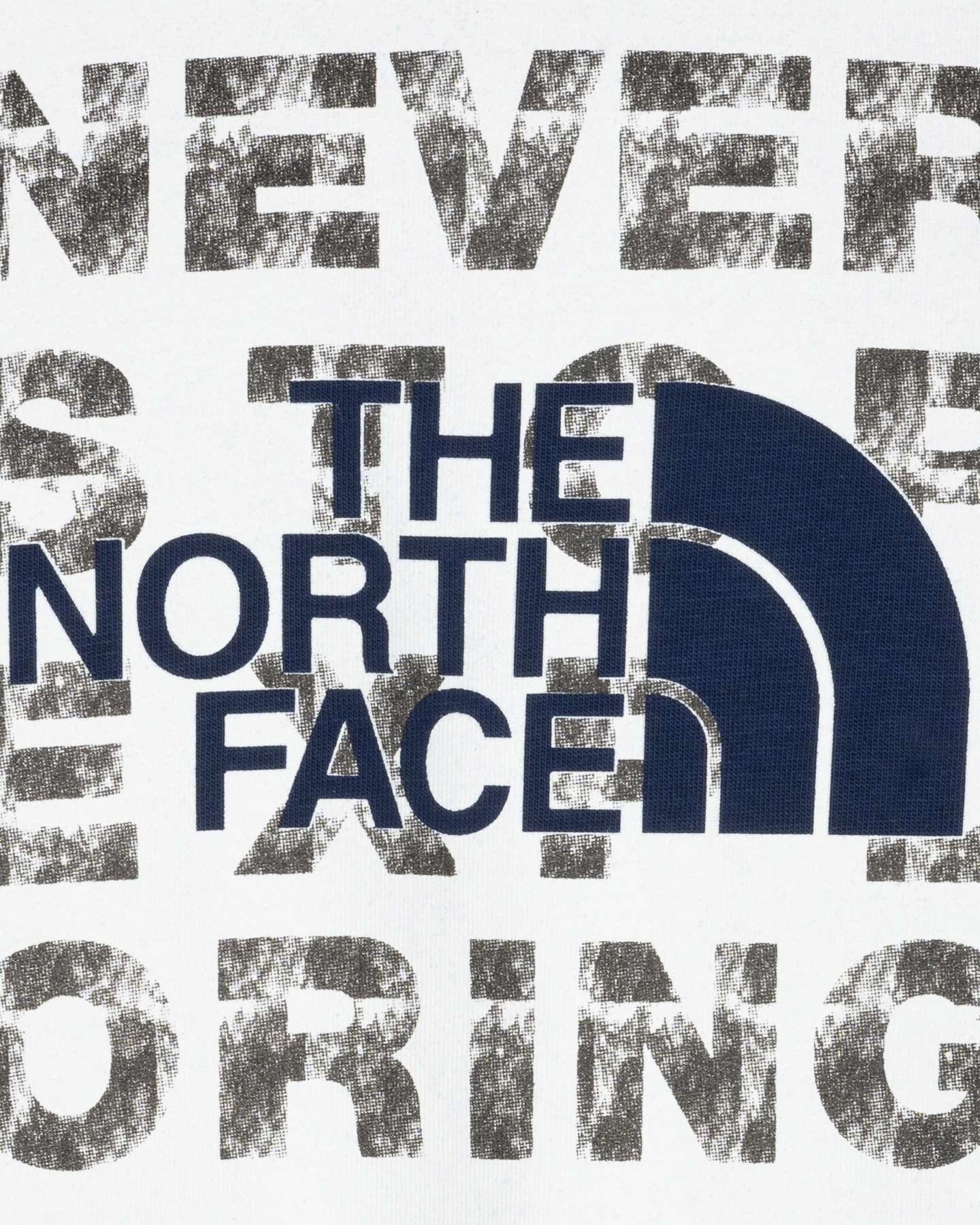 T SHIRT THE NORTH FACE LOGO NSE BOX M - Image 3