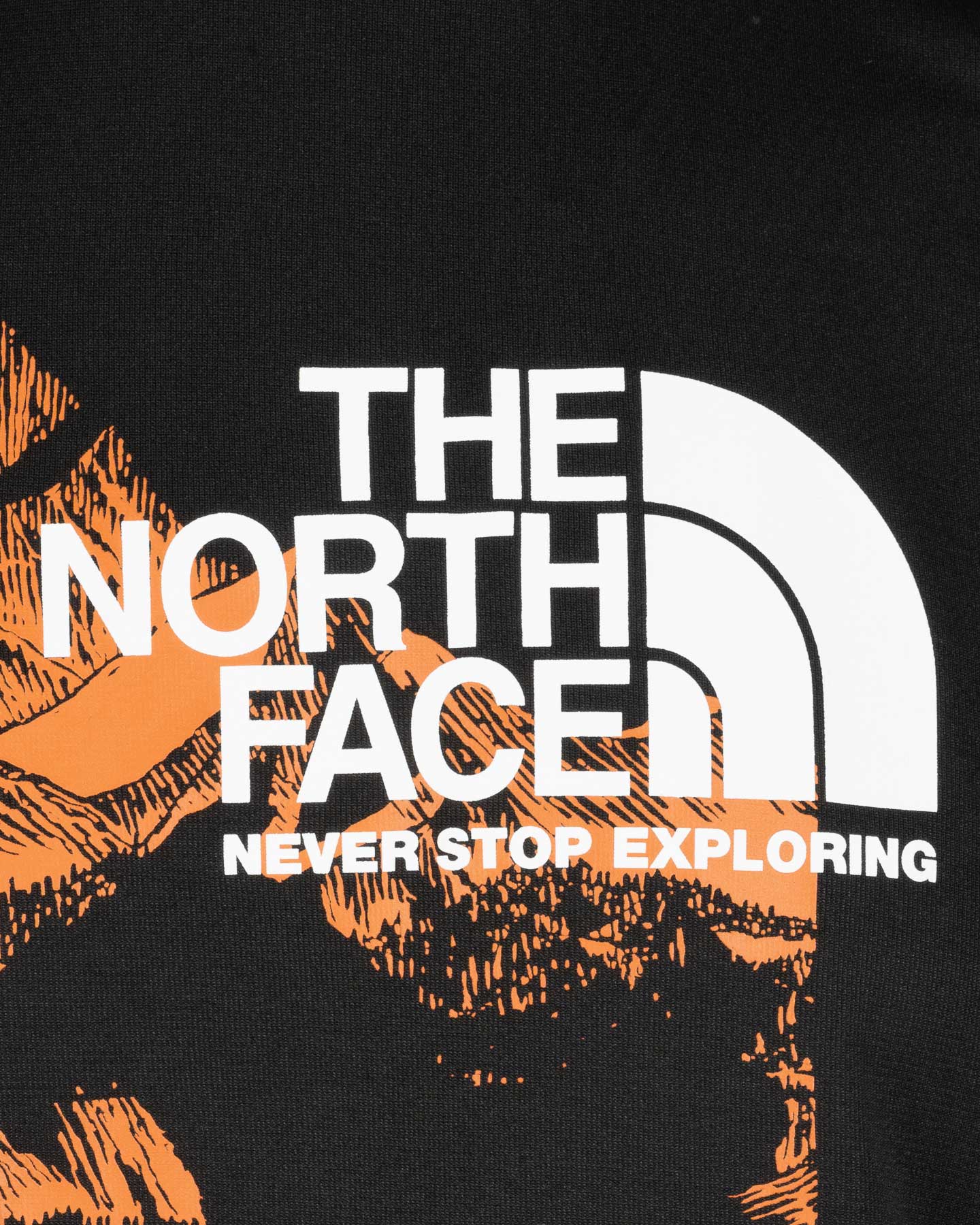 T SHIRT THE NORTH FACE NEW ODLES TECH M - Image 15