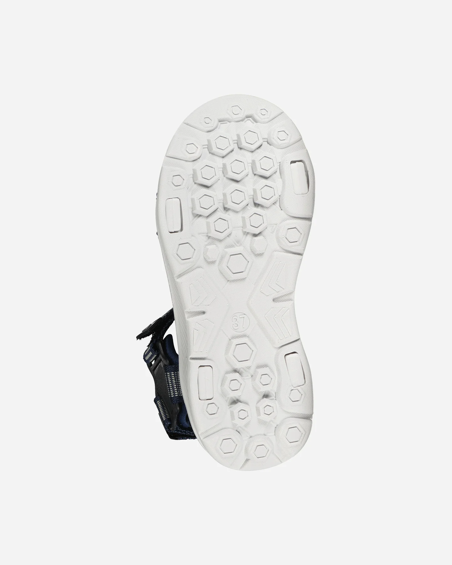 WEBBY - Image 75